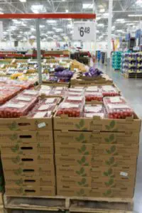 florece hidroponia morovis puerto rico hydroponic tomato production store 267x400 200x300 1